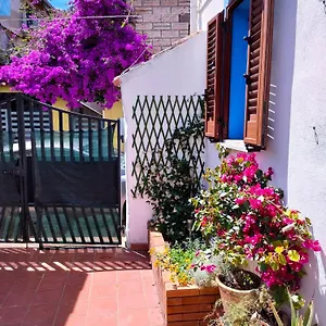 Nel Cortile Della Casa Di Carta, Due Singole Unita Torpè